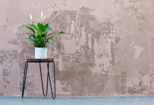 Convertir location nue en location meublée