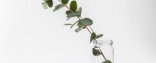 assurance prêt immobilier