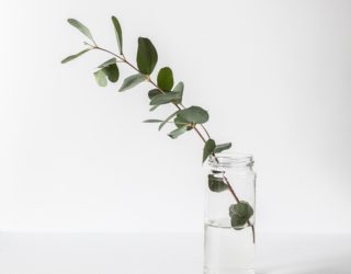 assurance prêt immobilier