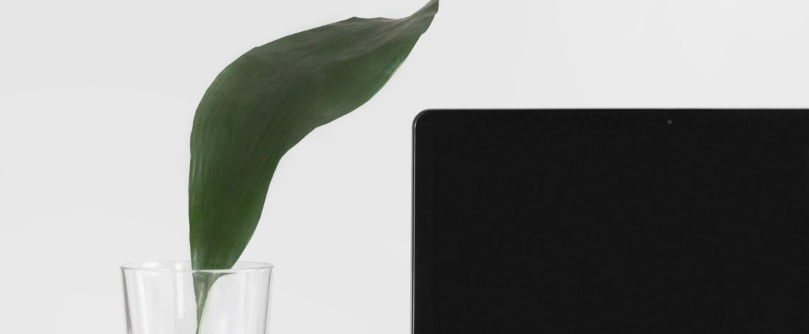 valorisation immobilier