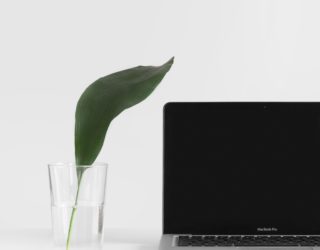 valorisation immobilier