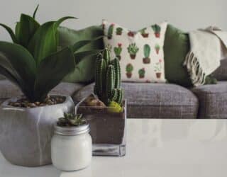 avantages investir crowdfunding