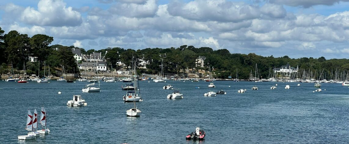 investir en viager depuis l'étranger