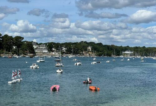 investir en viager depuis l'étranger