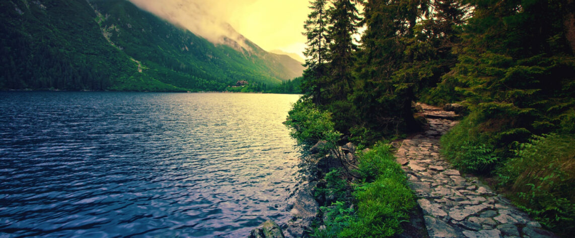 Avis-sur-l'assurance-vie-depuis-l’étranger-pour-les-non-résidents