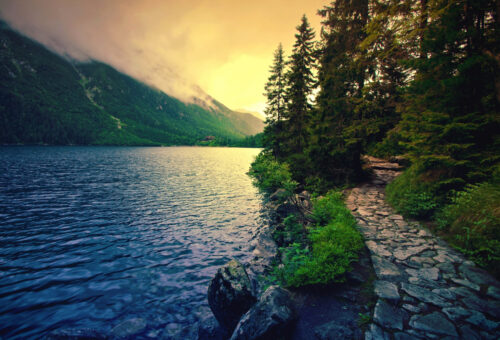 Avis-sur-l'assurance-vie-depuis-l’étranger-pour-les-non-résidents