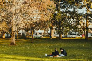 immobilier à Toulouse