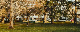 immobilier à Toulouse