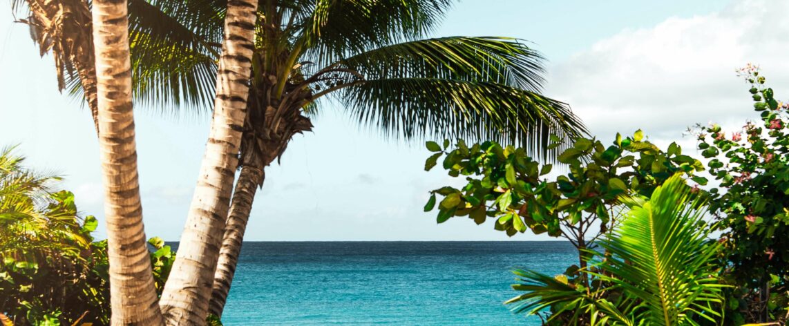 SCPI pour non-résidents : tous les avantages fiscaux de l’assurance-vie à l’étranger