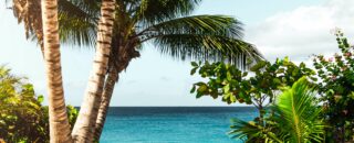 SCPI pour non-résidents : tous les avantages fiscaux de l’assurance-vie à l’étranger