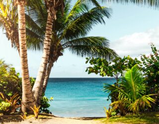 SCPI pour non-résidents : tous les avantages fiscaux de l’assurance-vie à l’étranger